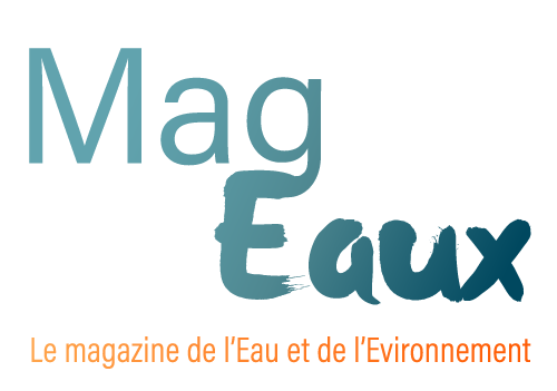 Mag Eaux Logo